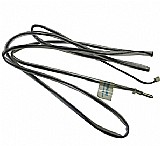 ��� �������� ����� ���� ���� ����� ������