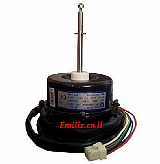 ���� ���� ����� ������